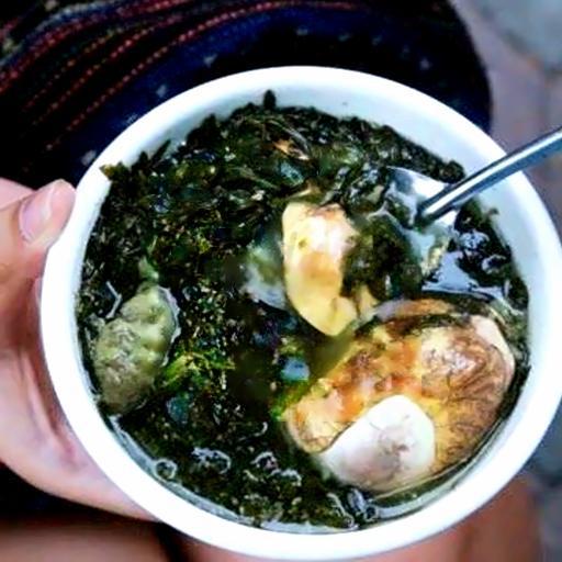 oc-heo-tan-ngai-cuu-2-qua-trung-vit-lon