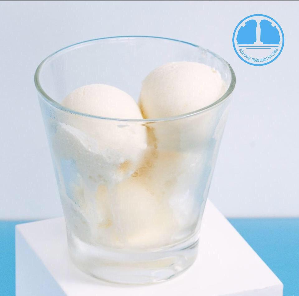 sua-chua-kim-quat-xi-muoi