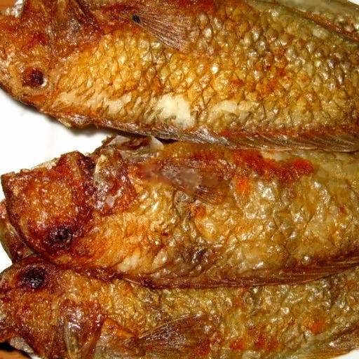 com-ca-mo-chien-gion