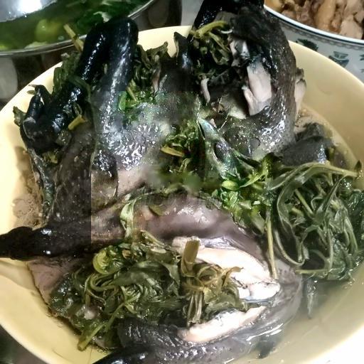 ga-ac-tan-ngai-cuu-thuoc-bac-1-con