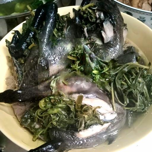 ga-ac-ham-ngai-cuu-3-con