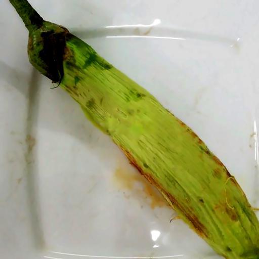 ca-tim-nuong-trai-lon