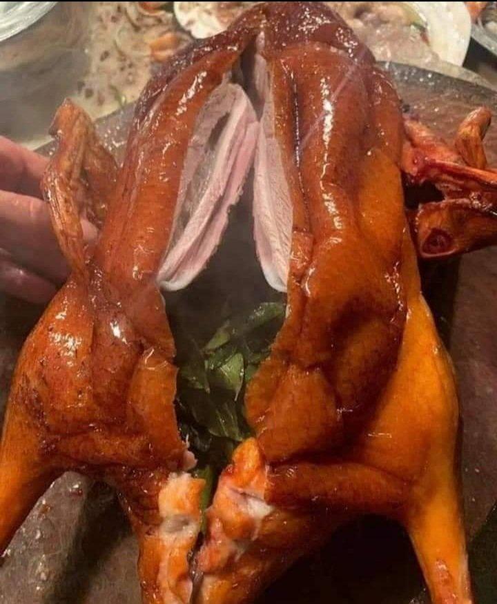 vit-quay-la-moc-mat-1-con-to-ay-u-co-canh-canh-mang-me-tiet-1-bat-au-lon-1-ia-bun