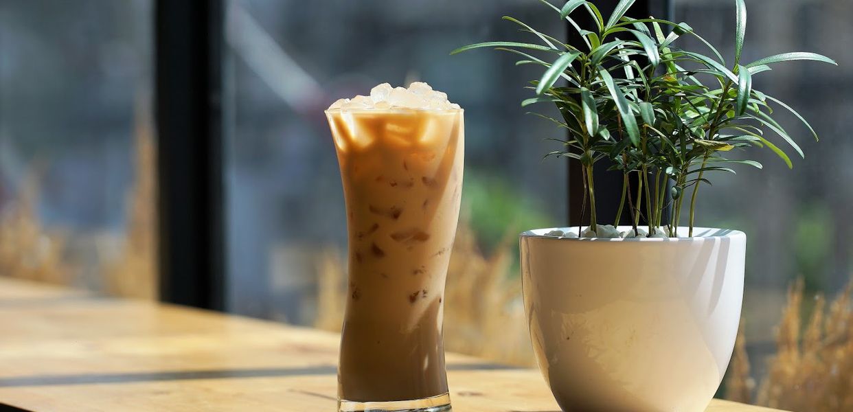 tra-bach-huong-tong-lung