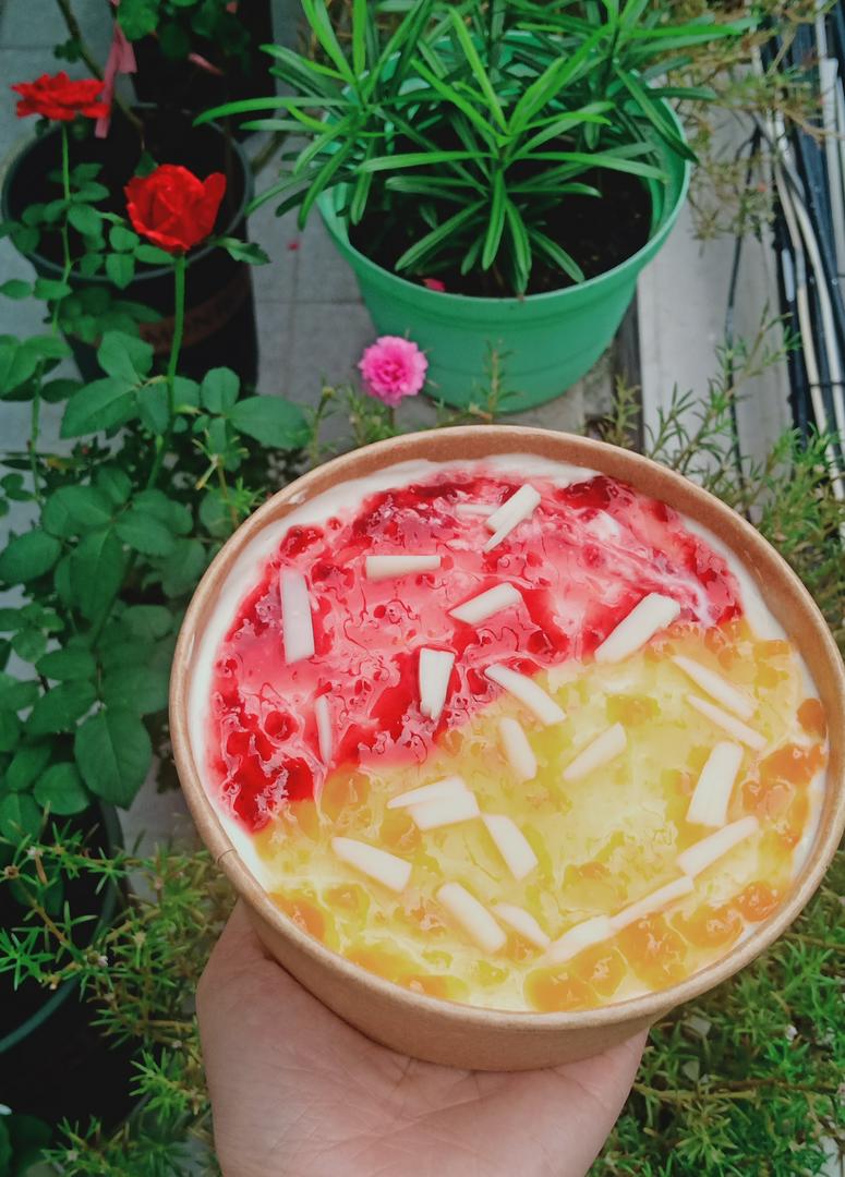 bong-lan-cheese-viet-quoc-ao