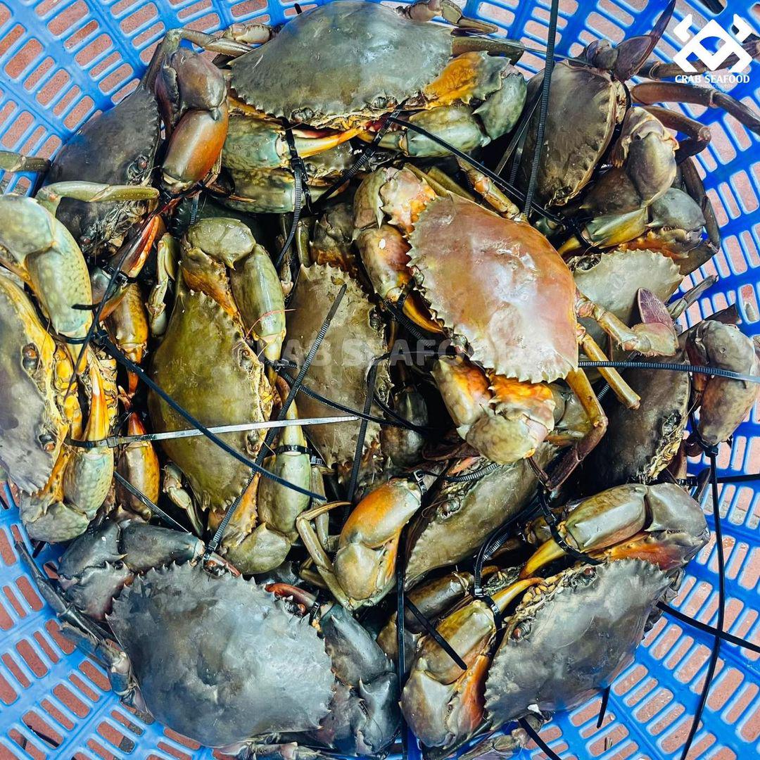 1kg Cua Thịt