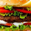 hamburger-bo-trung