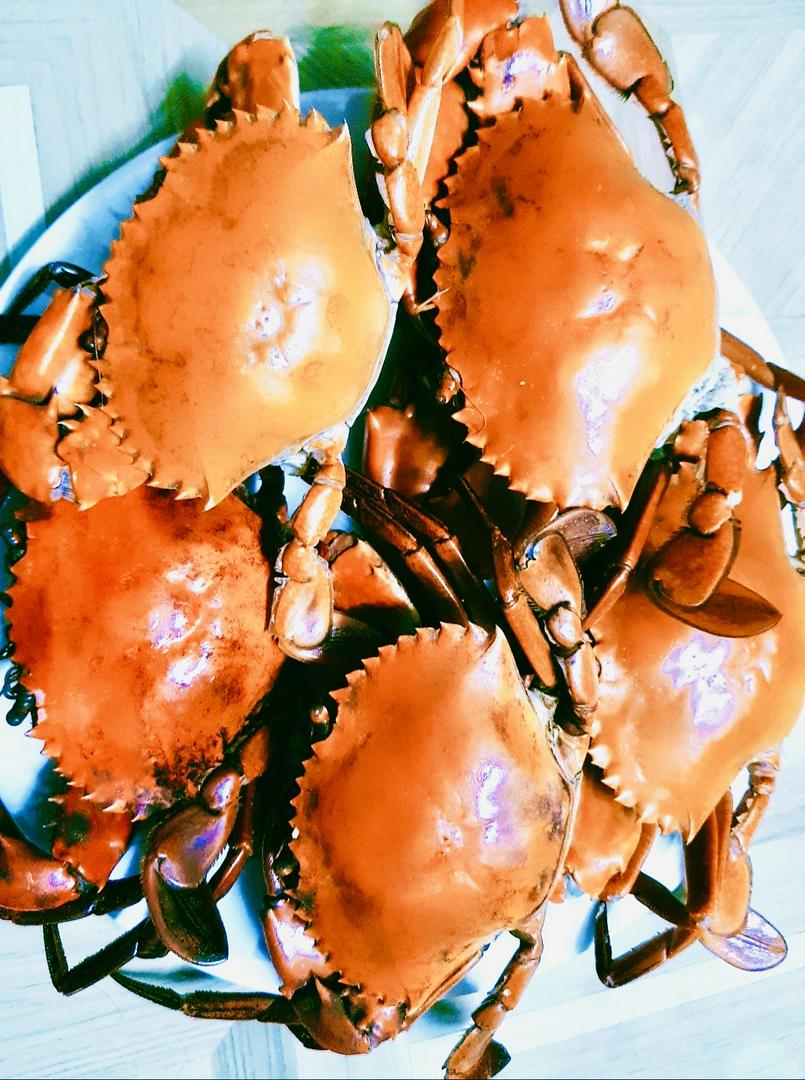 3-con-cua-thit-don-hap-xa-gung