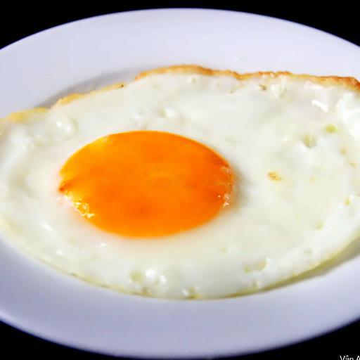 egg