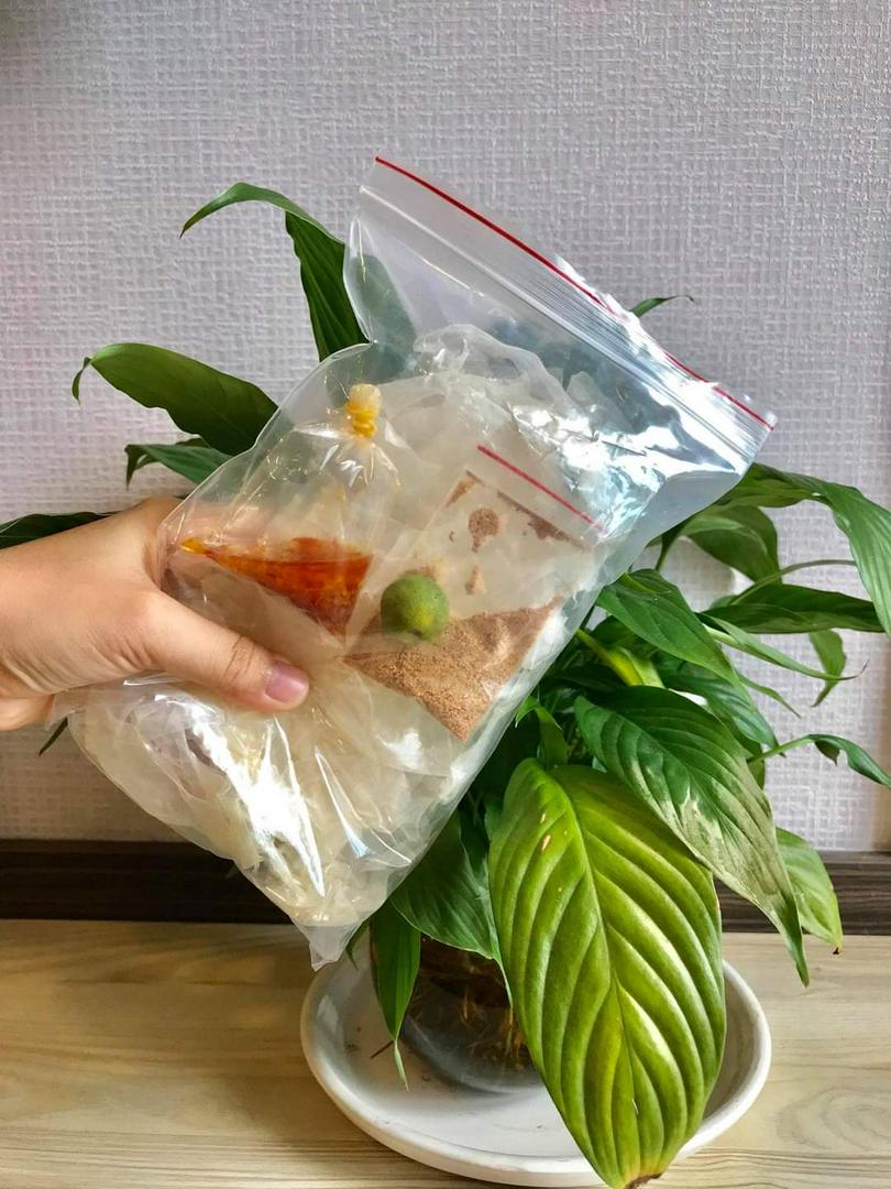 combo-2-bich-banh-trang-muoi-tac