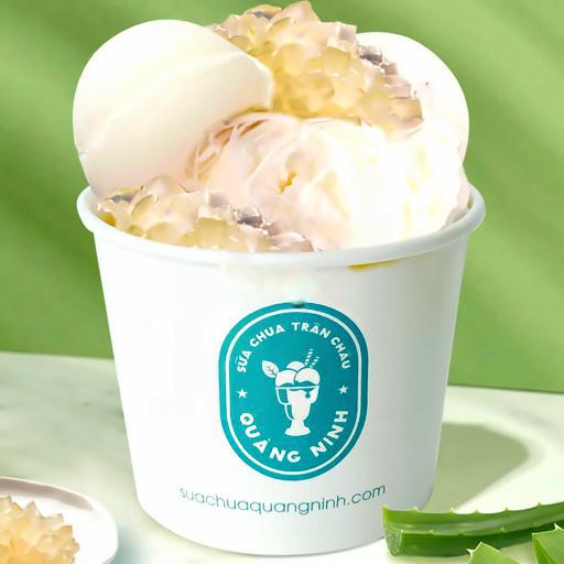 sua-chua-tran-chau-cot-dua