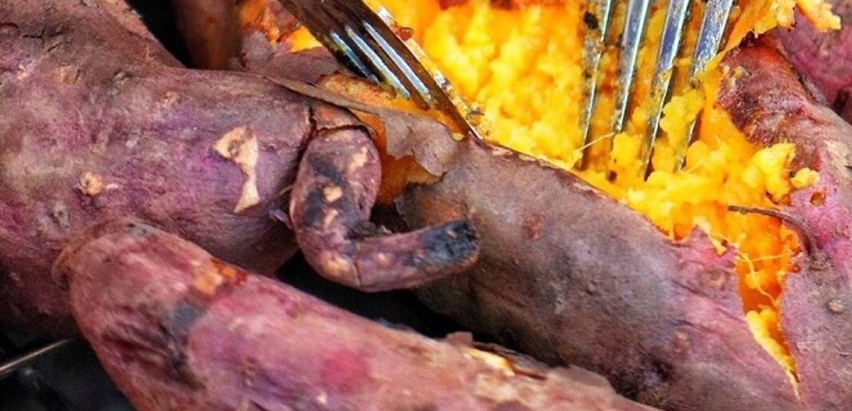 khoai-lang-mat-nagomi-khoai-nuong-nhat-ban-bui-inh-tuy