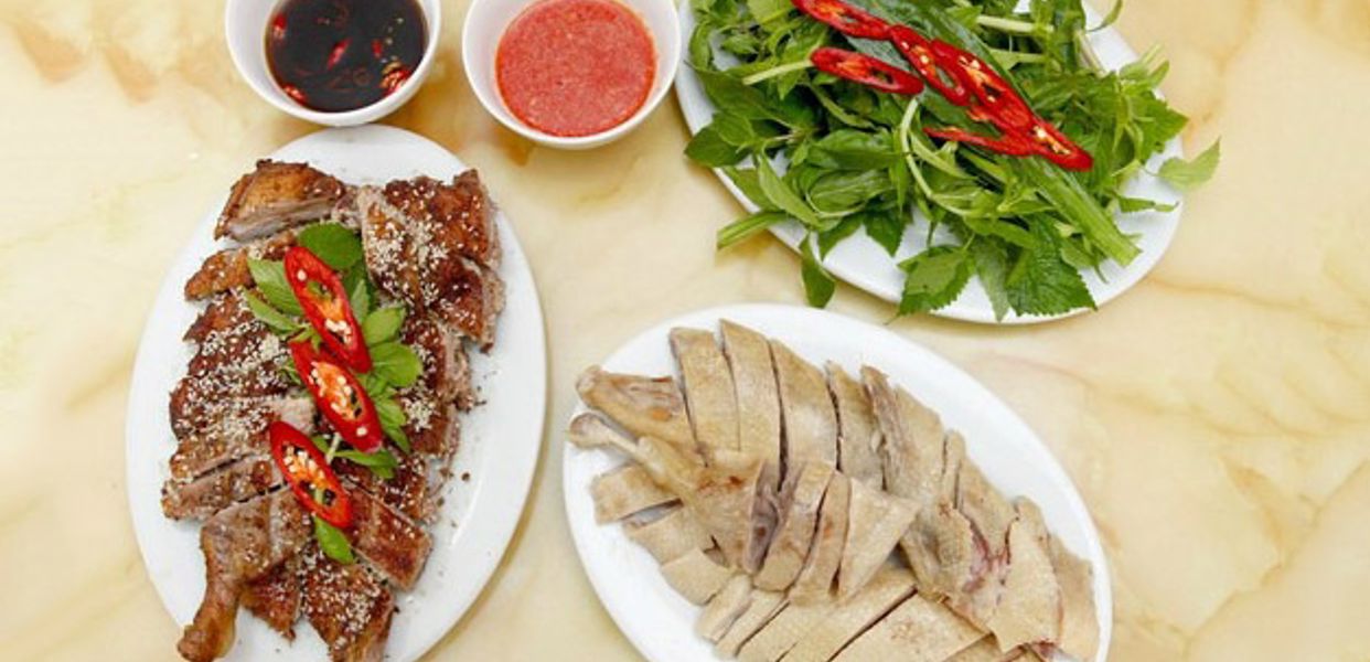 khanh-nga-vit-co-van-inh