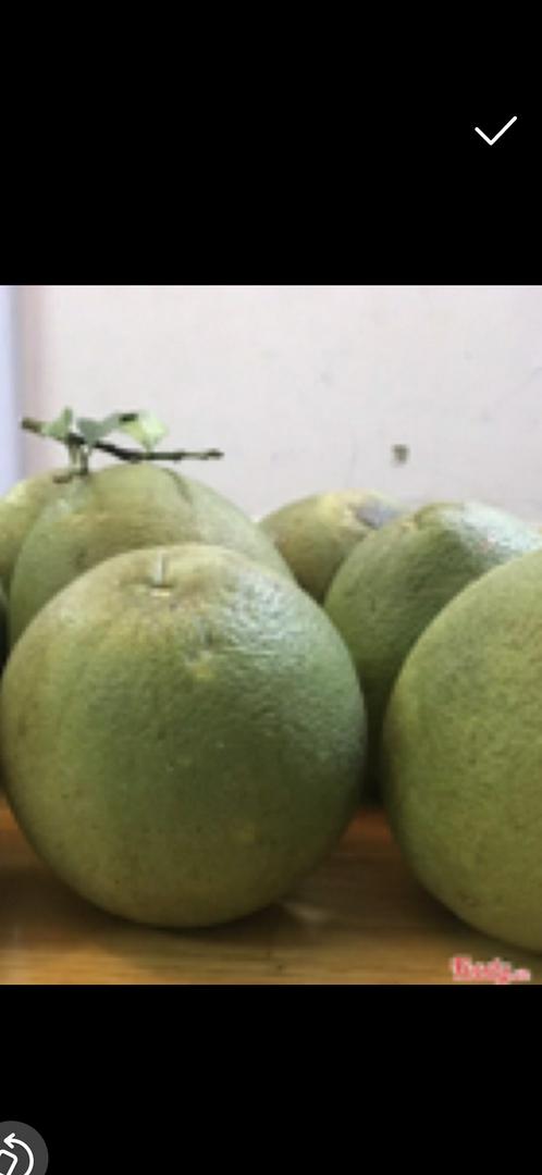 9h-22h10-buoi-an-ngon-kt-xanh-vo-o-long