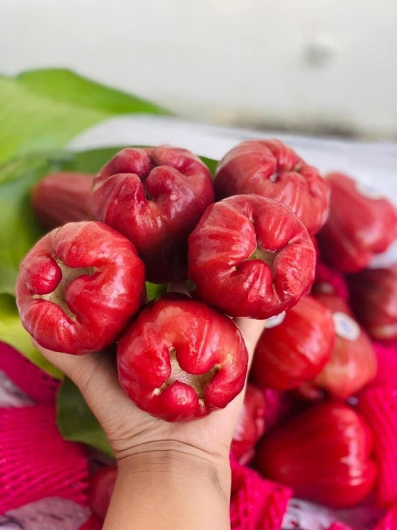 roi-o-an-phuoc-size-vip-1kg