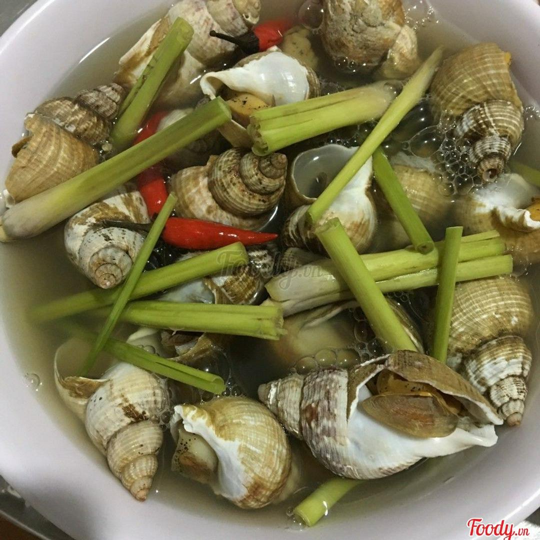 oc-bulot-phap-hap-sa-cay