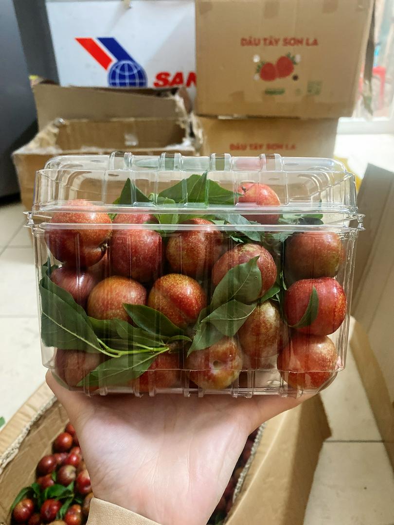 man-hau-moc-chau-hang-xo-1kg