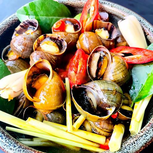 oc-buou-hap-thai-hap-sa