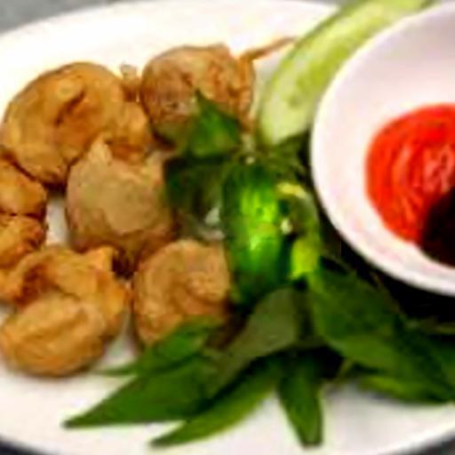 bao-tu-ca-basa-chien-gion