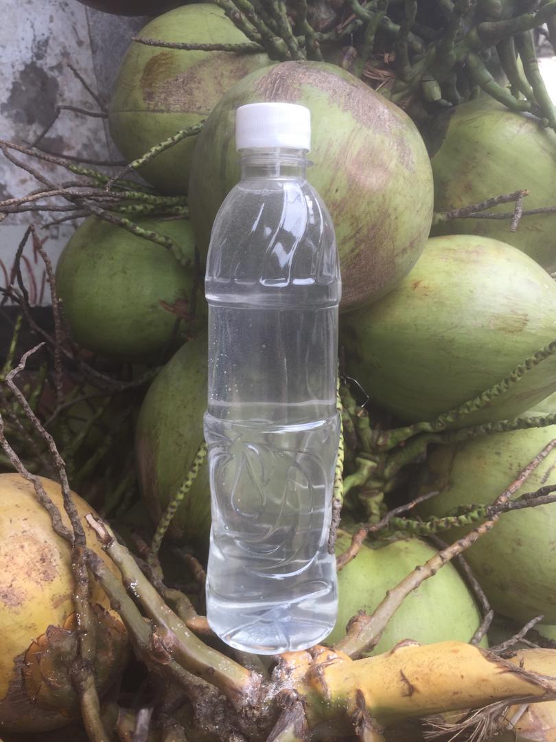 nuoc-dua-tuoi-chai-0-5l-a-at-la-ko-c-huy-on-chi-nhan-at-on-truoc-21h30