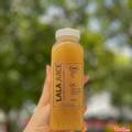 nuoc-ep-2-thanh-loc-he-tieu-hoa