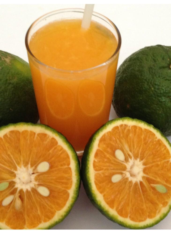 nuoc-cam-ep-nguyen-chat