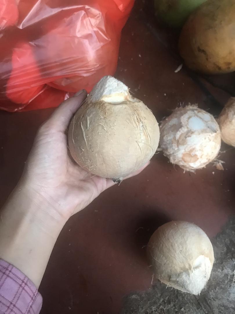 dua-xiem-got-xuat-l3