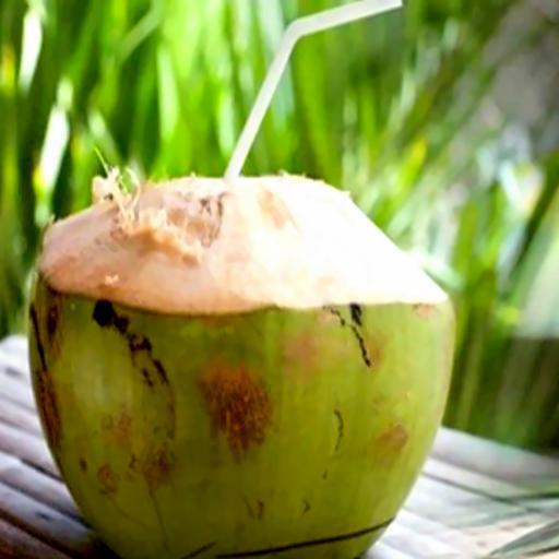 dua-tuoi-nguyen-trai