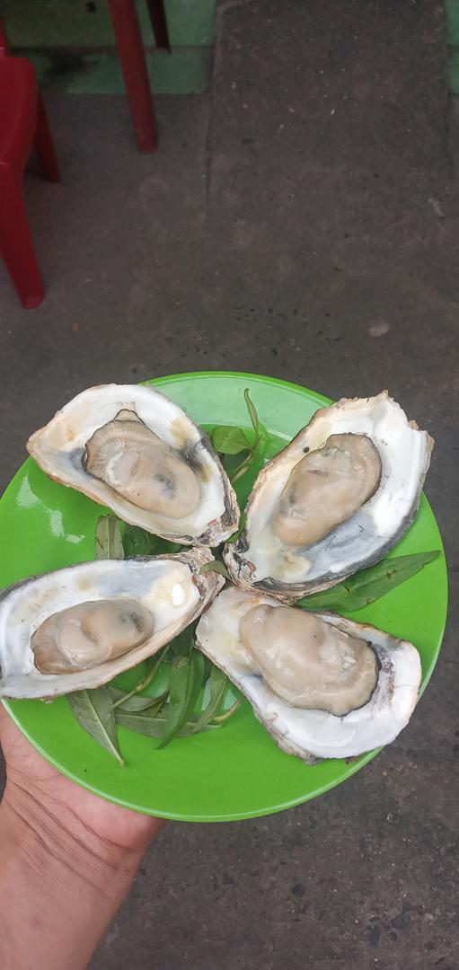 hau-song-wasabi-1con