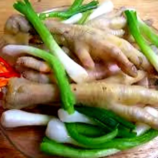 chan-vit-hap