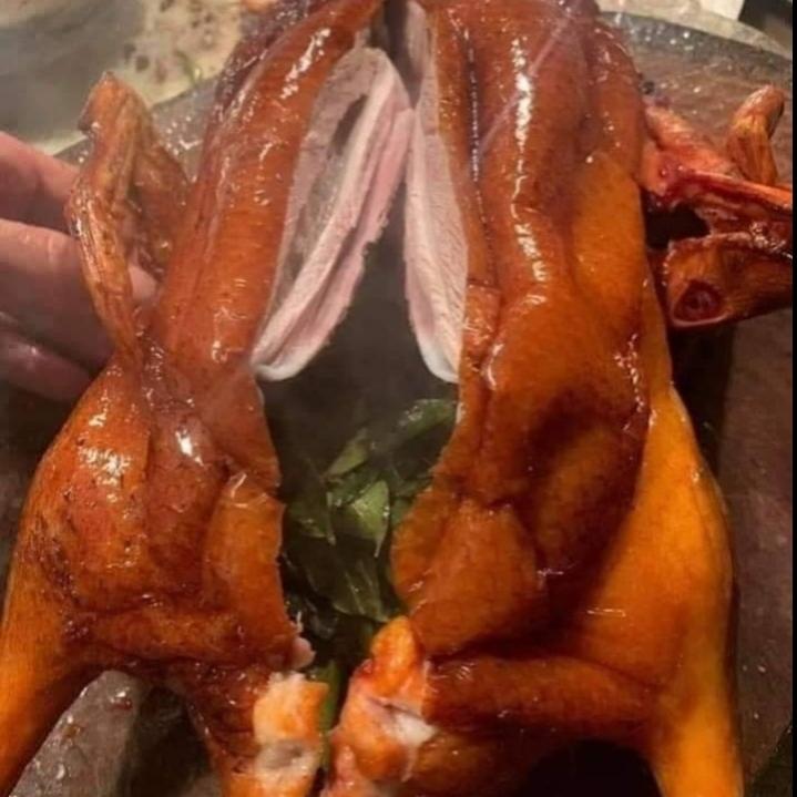 vit-quay-la-moc-mat-1-con-to-ay-u-co-canh-kem-ia-bun