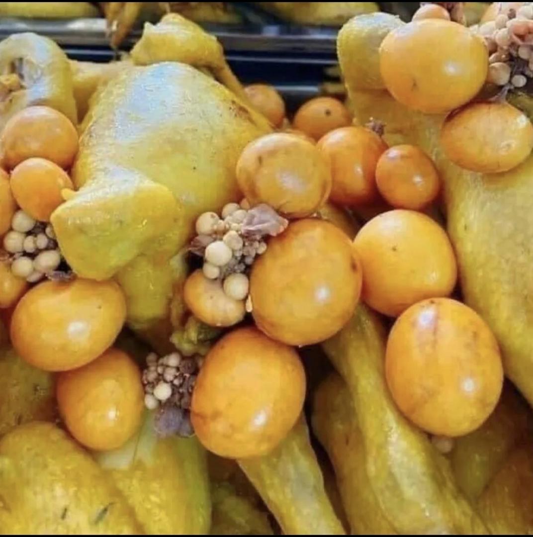 ga-u-muoi-hoa-tieu-om-trung-non-1-con-chat-san-an-lanh