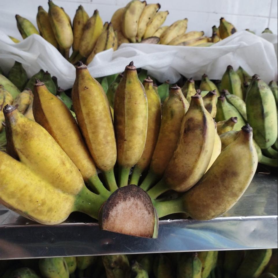 chuoi-xiem-chuoi-su-chin