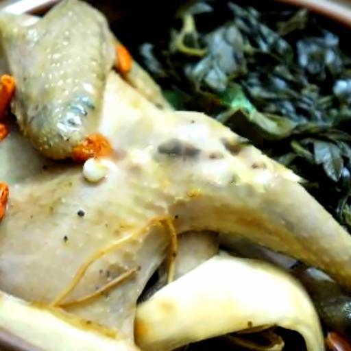 ga-ham-thuoc-bac-la-ngai