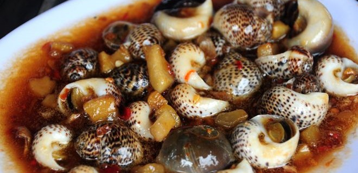 oc-hoang-237-tran-van-ang