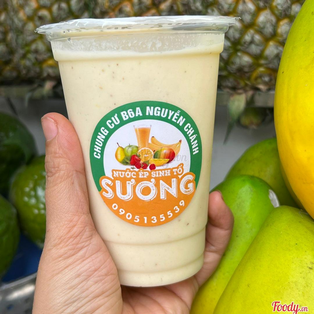 sinh-to-mang-cau-dua