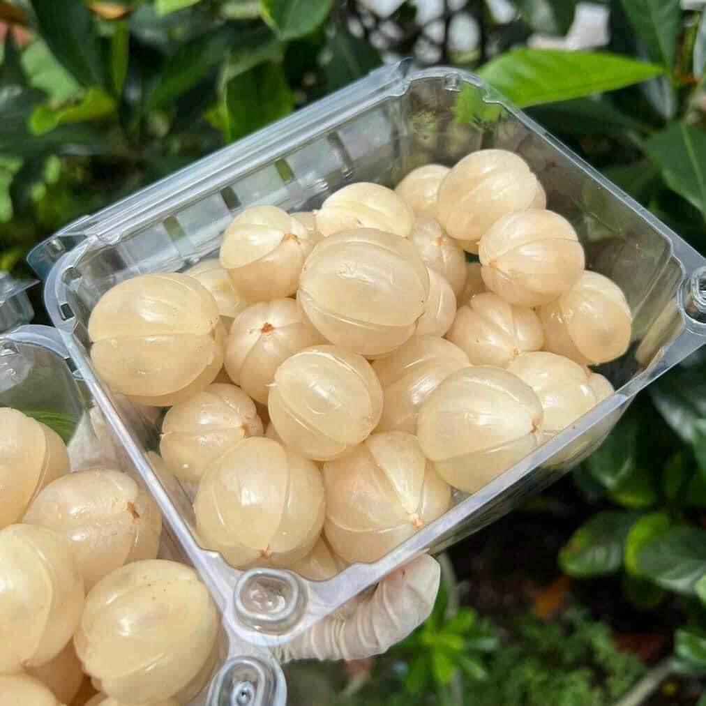 bon-bon-thai-size-vip-boc-san