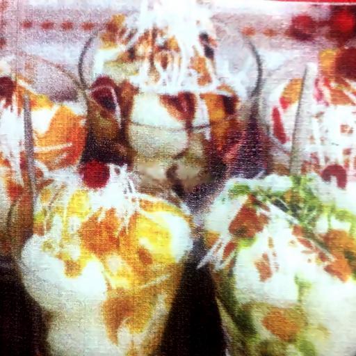 kem-vani-sot-socla-ly