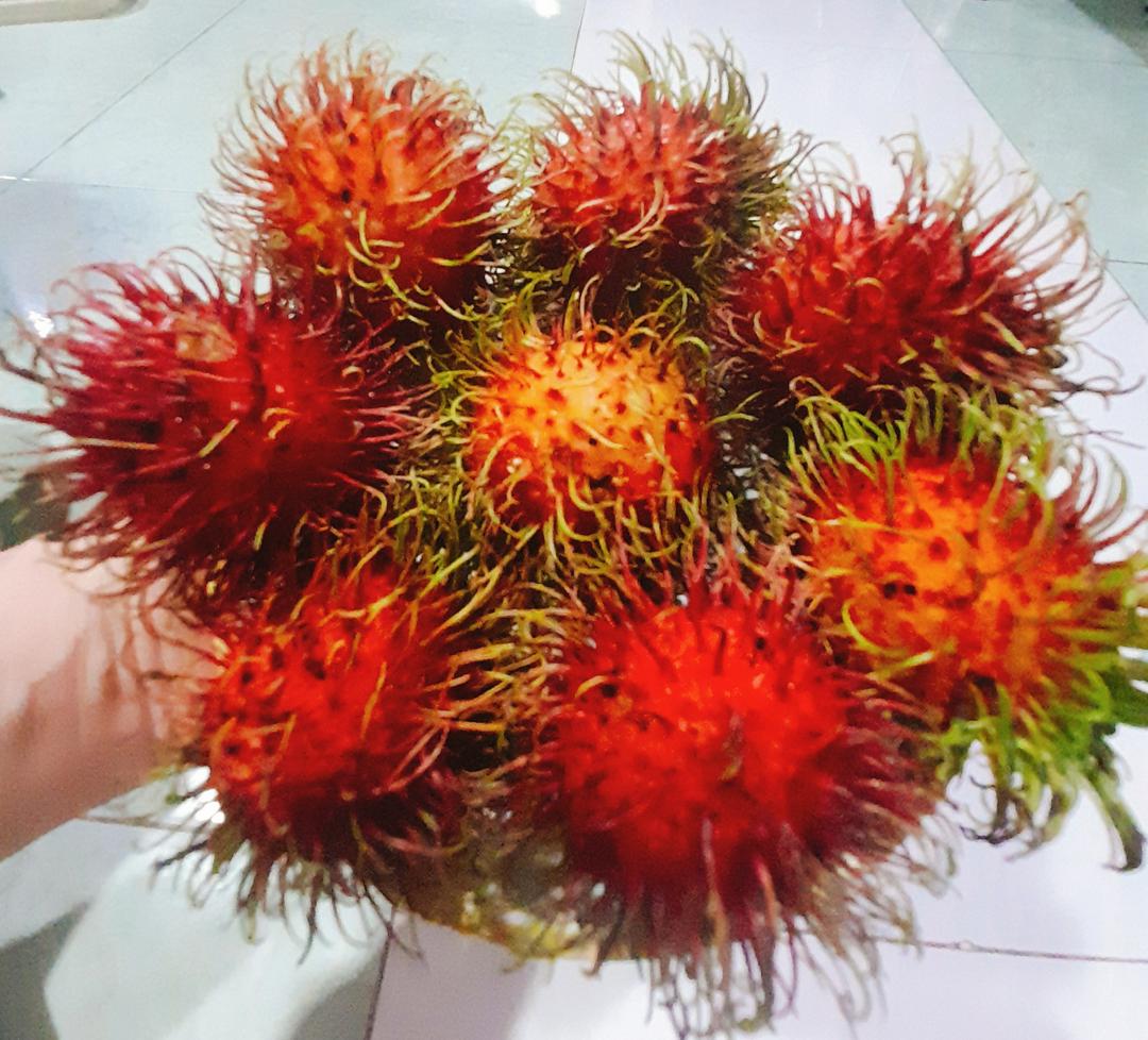 chom-chom-cac-loai-350g