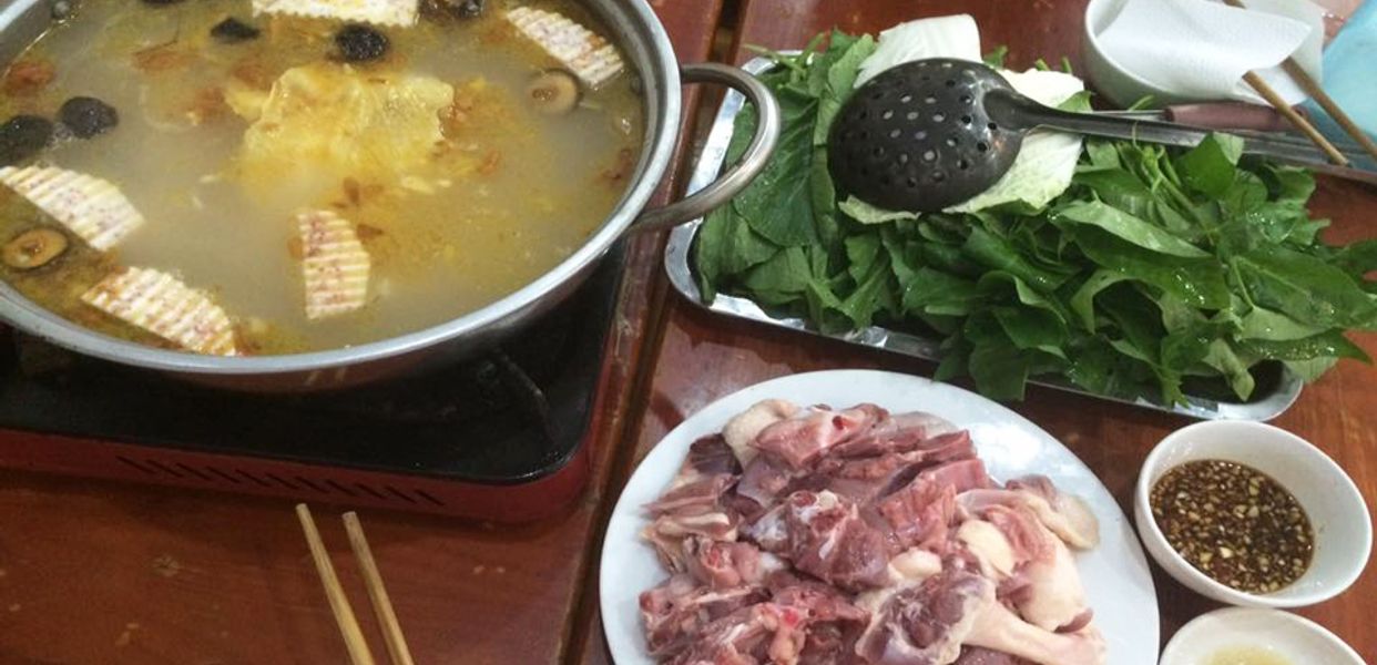 vinh-binh-vit-van-inh-viet-hung