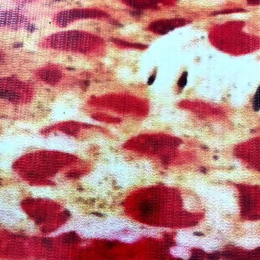 pizza-bo-xuc-xich-sai-s