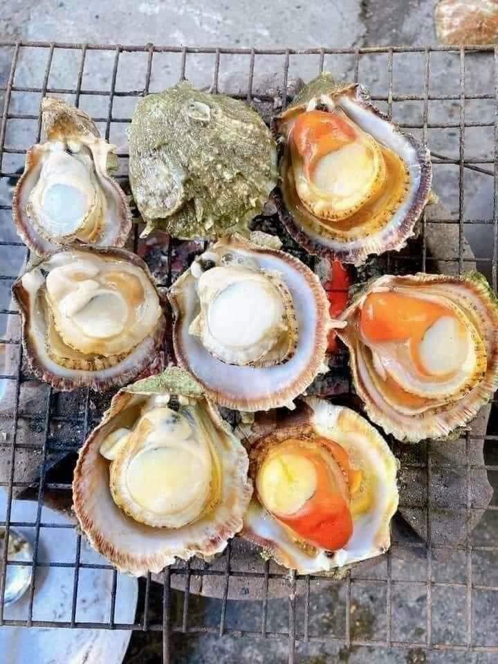 hau-huong-luoc-xa-thai