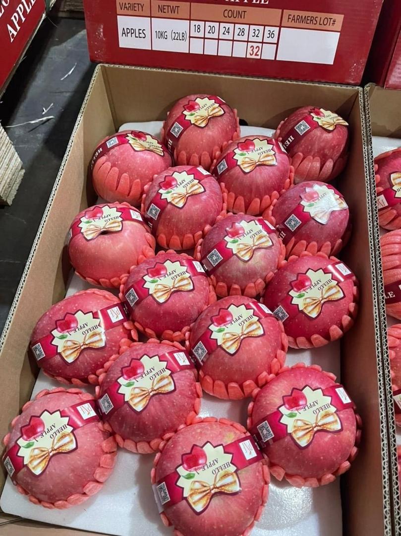 tao-fuji-nhat-gion-ngon