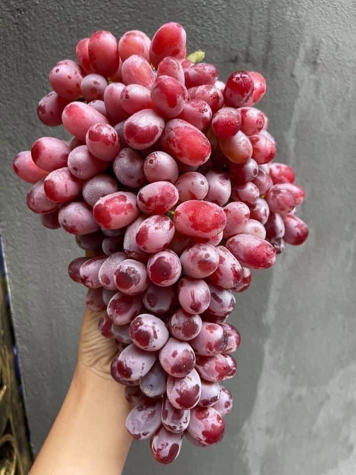 nho-o-ruby-khong-hat-1kg