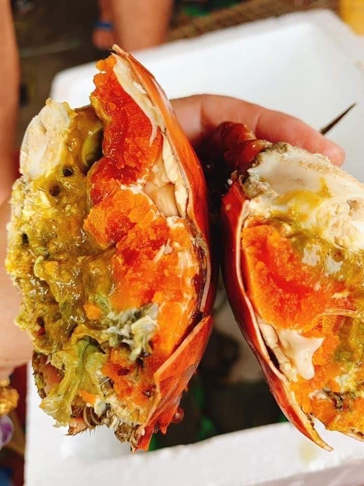 cua-gach-khung-y5-che-bien-8-vi-sot