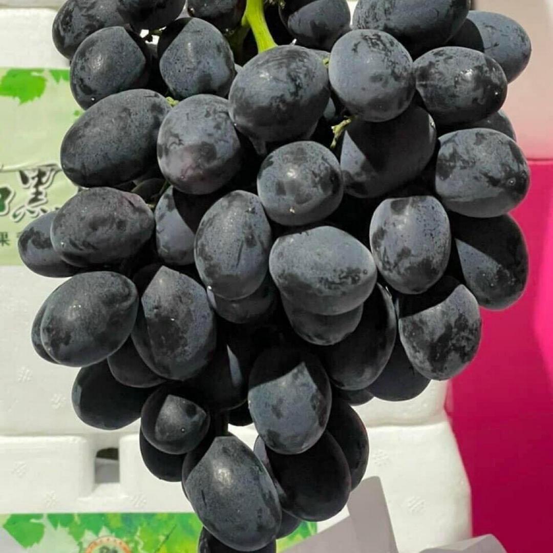 nho-en-nhat-size-to-1kg