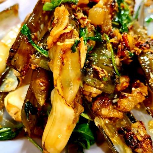 oc-mong-tay-chay-toi