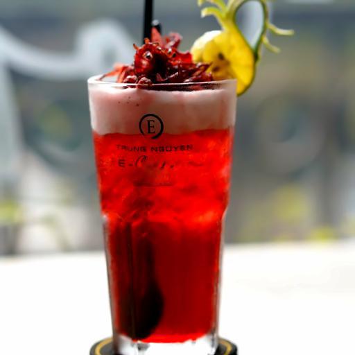 tra-atiso-o-hat-chia