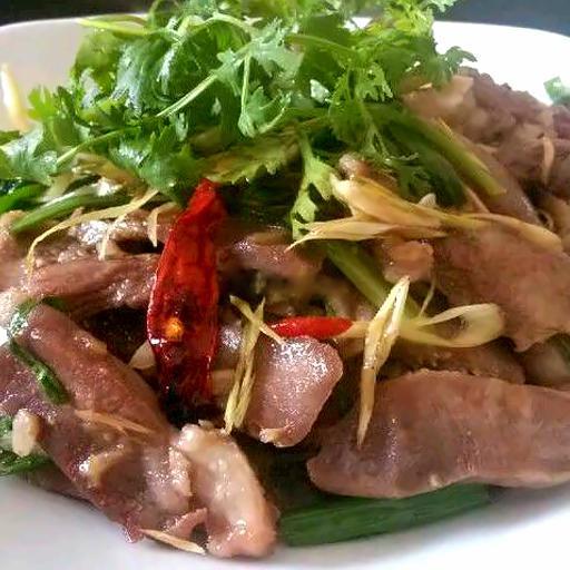 luoi-lon-xao-xa-ot