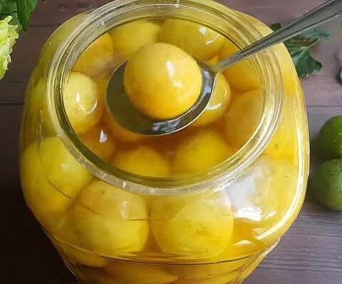 chanh-muoi-ly-khong-lo